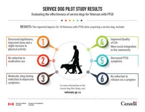 An infographic showing how service dogs can help.